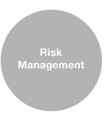 risk management